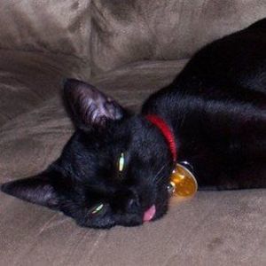 Meet your Posher, Amber